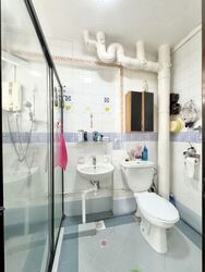Blk 242 Pasir Ris Street 21 (Pasir Ris), HDB Executive #574762561